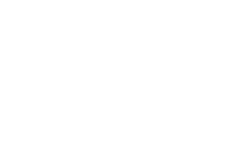 Logo 100%