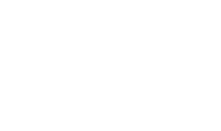 Logo Magura